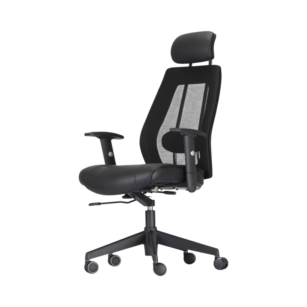 Xiaoyaozuo office chair black ergonomic mesh back executive chair with adjustable headrest and armrests.
