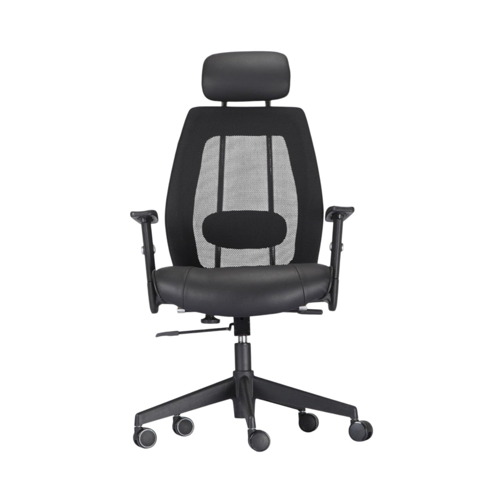 Xiaoyaozuo office chair black ergonomic mesh back executive chair with adjustable headrest and armrests.
